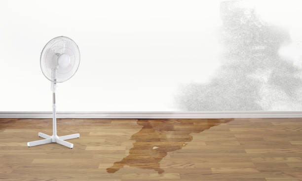 Water damage restoration process in Williamson, AZ