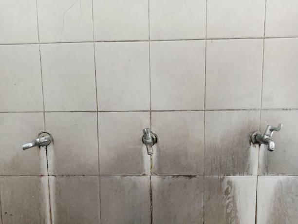 Best Ceiling water damage repair  in Williamson, AZ